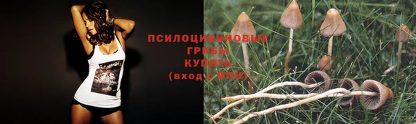 дистиллят марихуана Зеленокумск