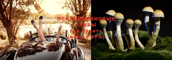 крисы Зеленодольск